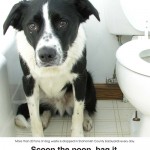 dogs_cant_flush