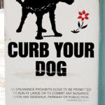 Curb_Your_Dog_Proposal.png