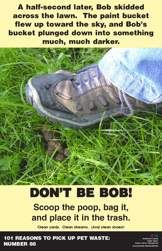 88__dont_be_bob_11x17 South Poop